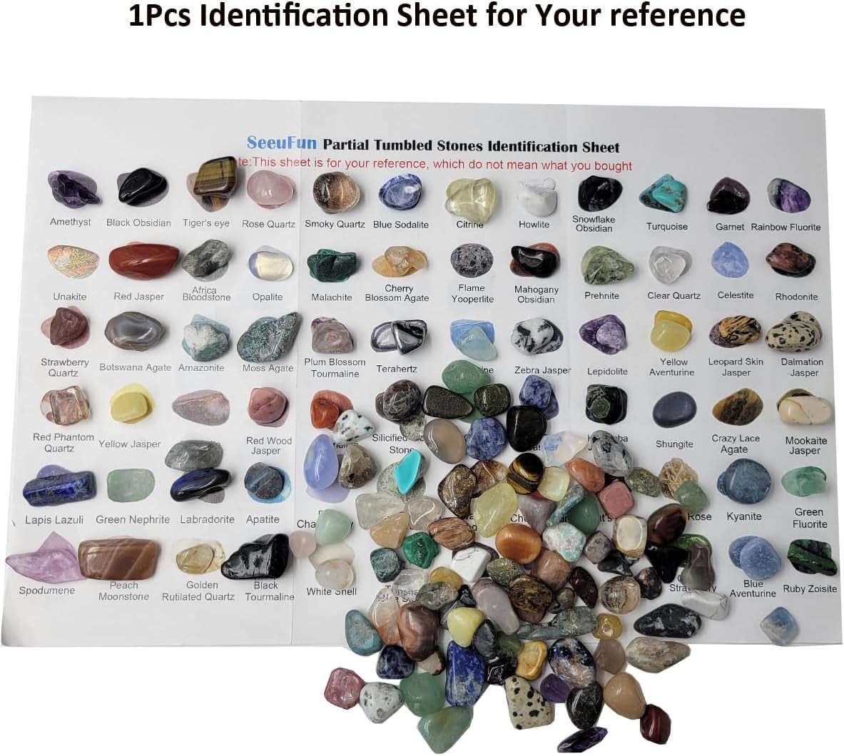 800Pcs+ (3Lb) Gemstones and Crystals Set,30Kinds+ Bulk Rocks and Minerals Science Kit,Rocks Collections for Kids,Tumbled Chips Crystals,Crushed Stones
