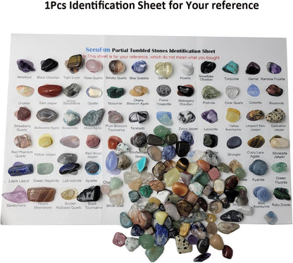 800Pcs+ (3Lb) Gemstones and Crystals Set,30Kinds+ Bulk Rocks and Minerals Science Kit,Rocks Collections for Kids,Tumbled Chips Crystals,Crushed Stones