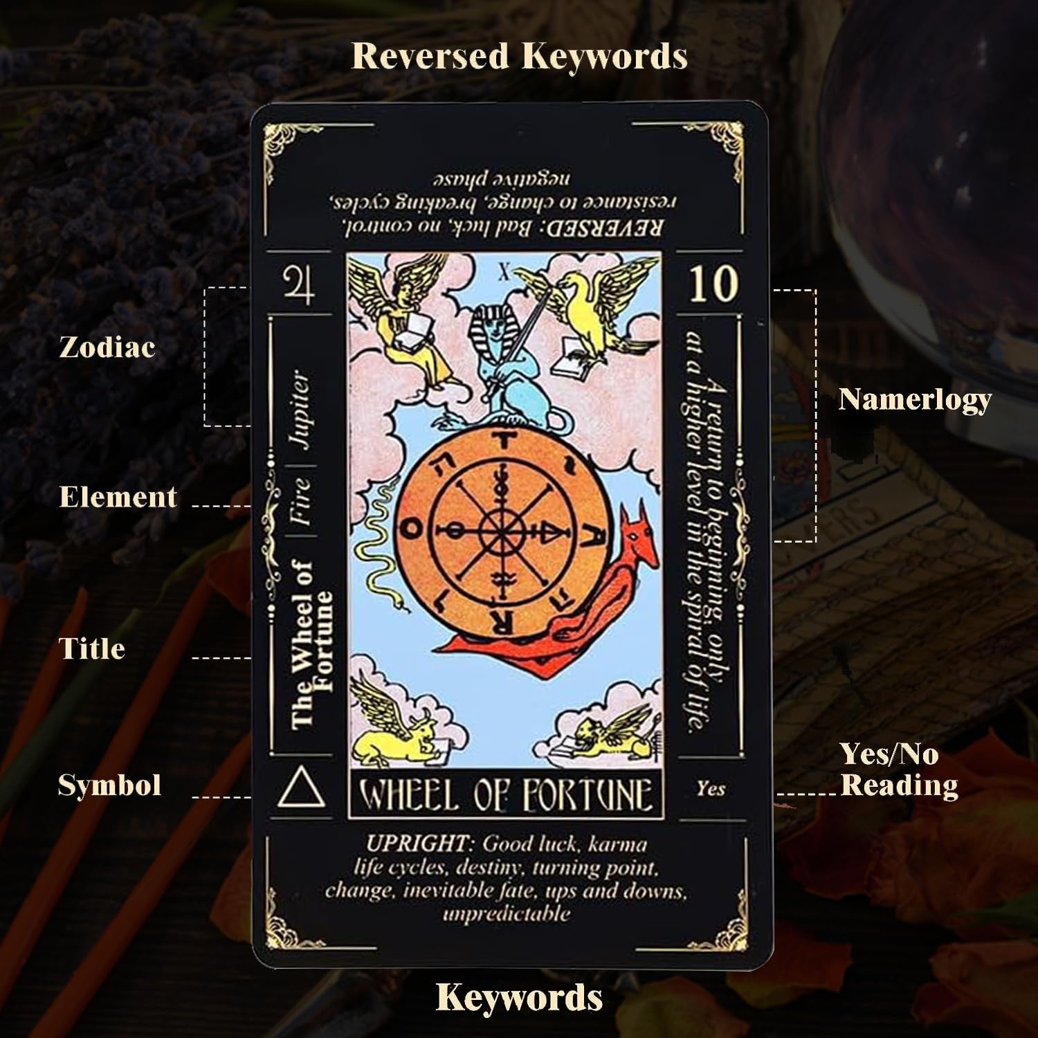 Learning Tarot Cards for Beginners with Meanings on Them Tarot Card