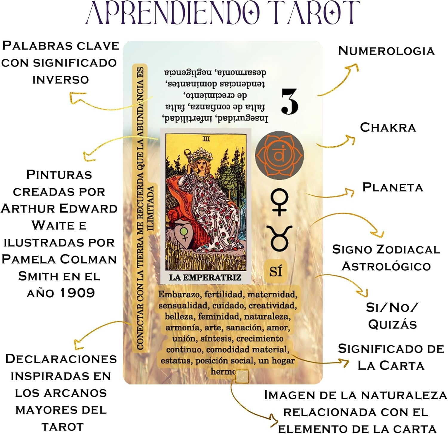 Spanish Learning Tarot Card for Beginners with Meanings on Them - Training Beginner Cards for Tarot Learners Including Chakra, Planet, Zodiac, Element, Yes or No.